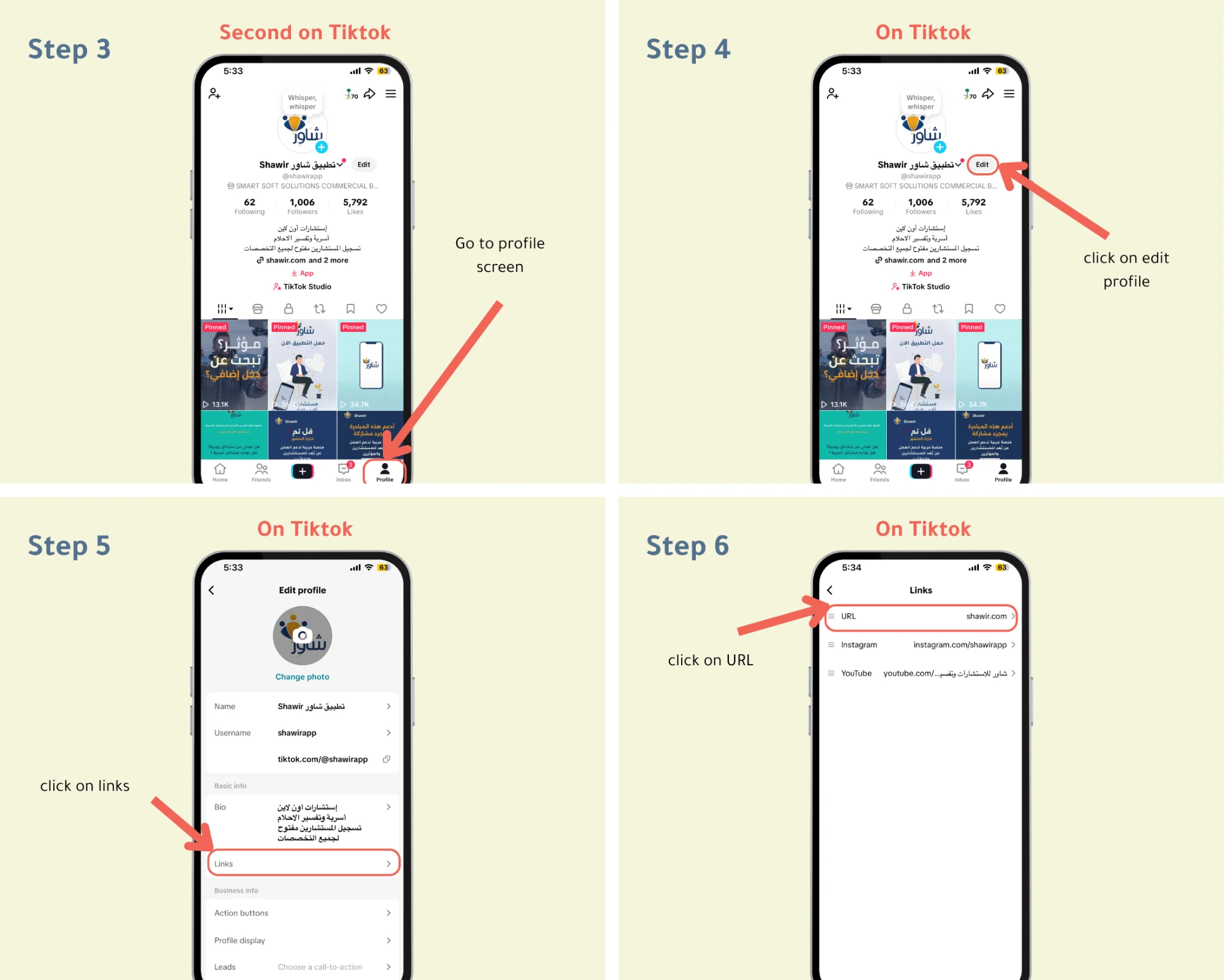 Add Shawir Link to TikTok